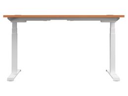 Adjustable Desk