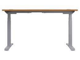 Adjustable Sit Stand Desk