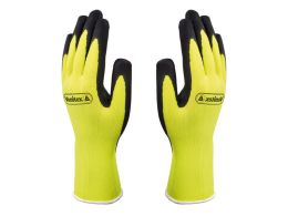 Appollon Gloves