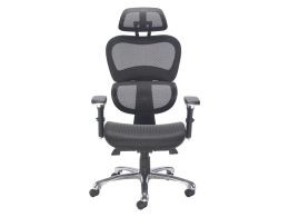 Ergonomic Chair With Headrest