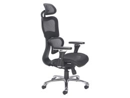 Ergonomic Chair With Headrest