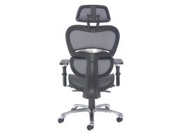 Ergonomic Chair With Headrest