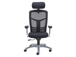 Ergonomic Mesh Chair