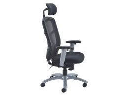 Ergonomic Mesh Chair