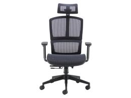 Ergonomic Mesh Office Chair