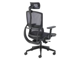 Ergonomic Mesh Office Chair