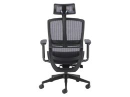 Ergonomic Mesh Office Chair