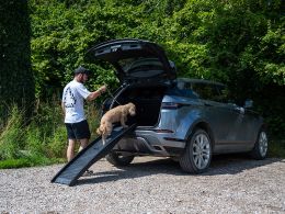 Portable Dog Ramp