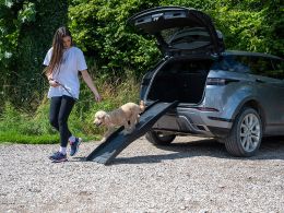 Portable Dog Ramp