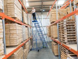 Warehouse Step Ladders