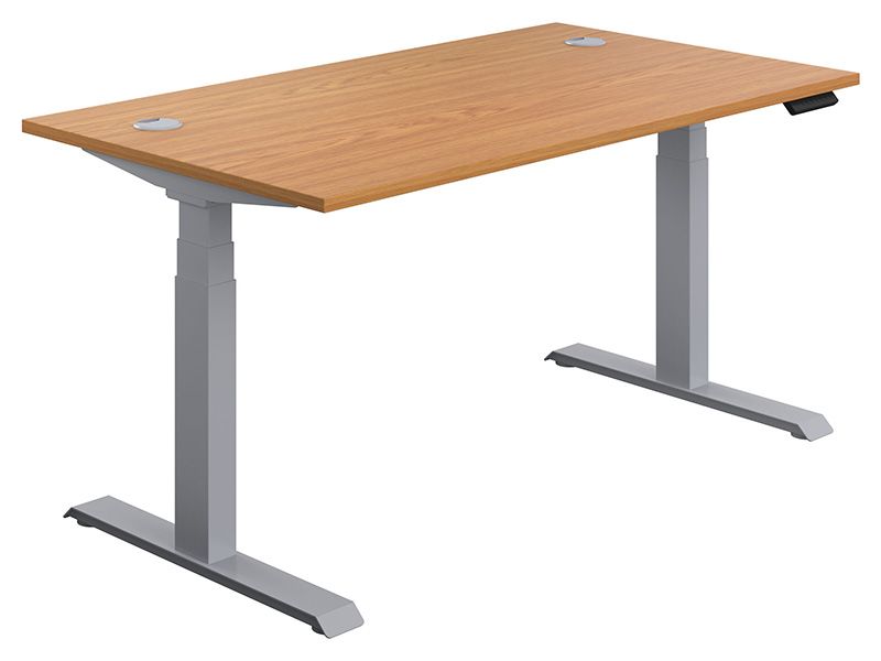 Adjustable Sit Stand Desk