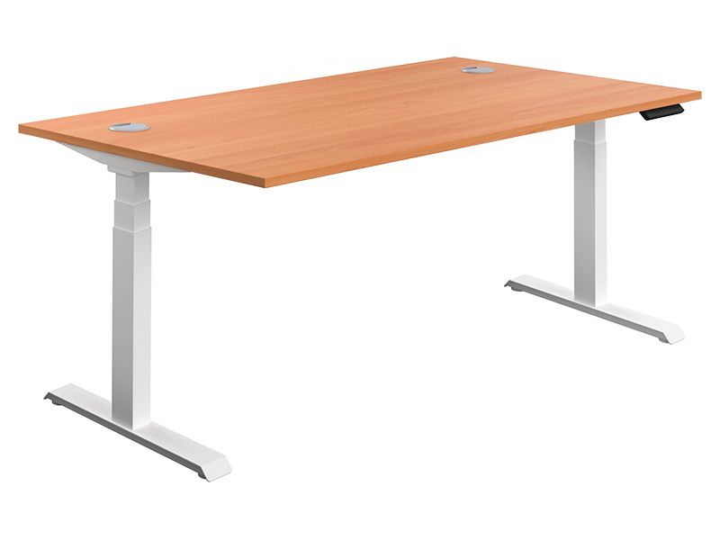 Electric Sit Stand Desk