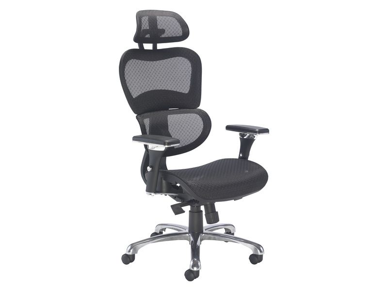 Ergonomic Chair With Headrest