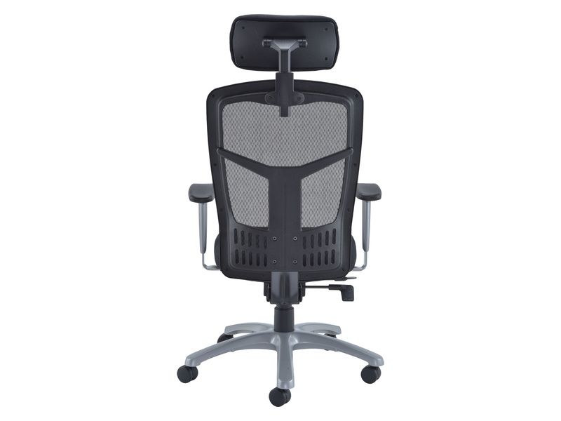 Ergonomic Mesh Chair