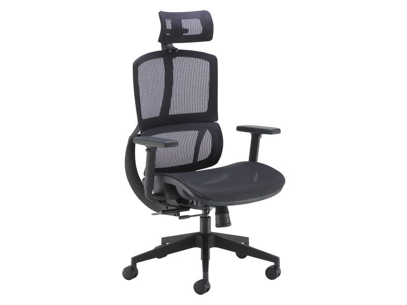 Ergonomic Mesh Office Chair