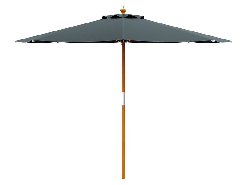 Prince Parasol