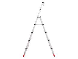 Convertible Telescopic Ladder